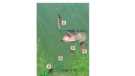 POPPED UP LEGER RIG FOR PIKE AND ZANDER | Angling Times