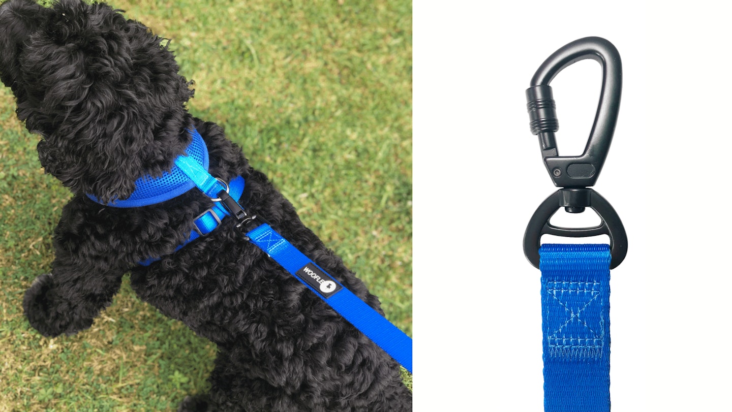 Woofles Maximum Comfort Dog Lead