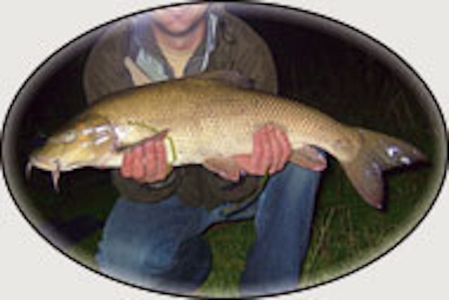 barbel.jpg