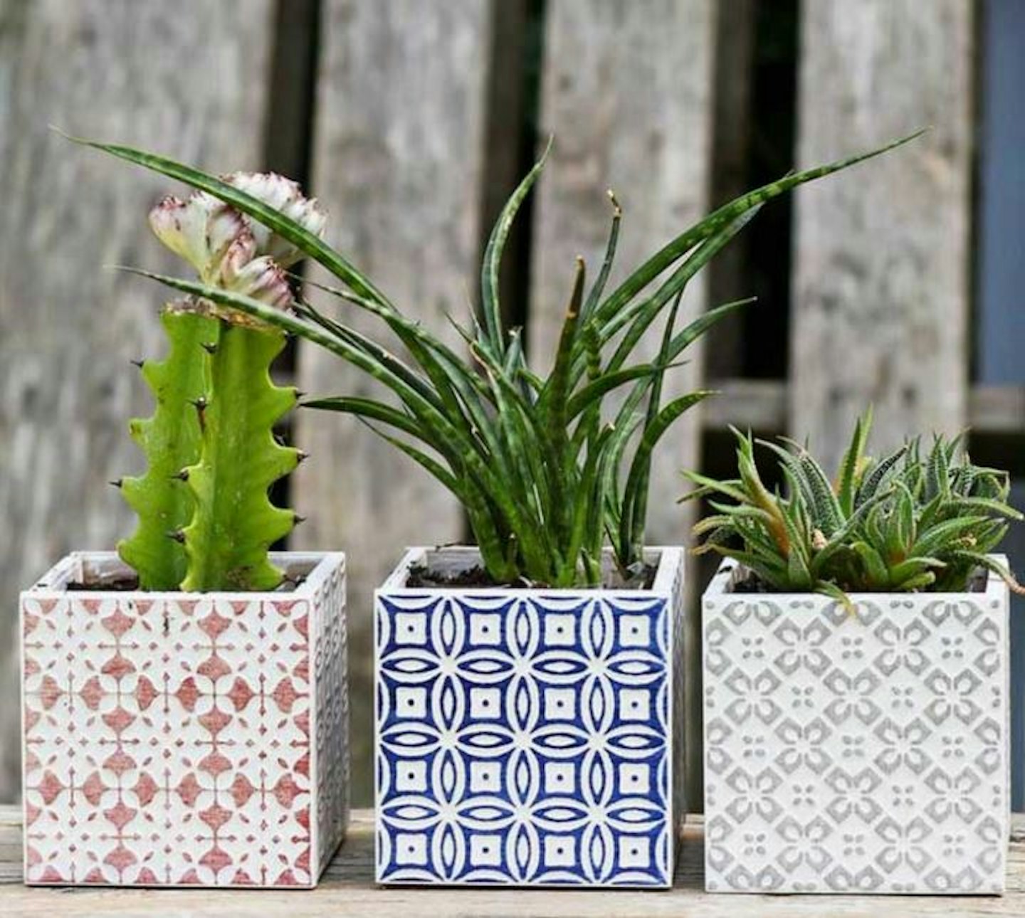 Moroccan Tile Planter