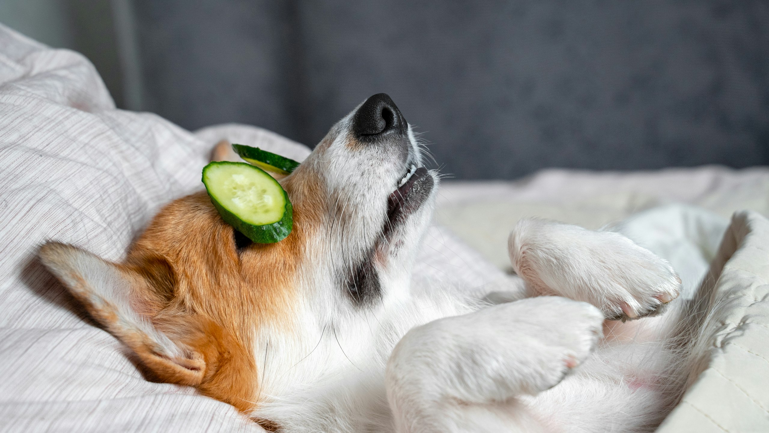 Self care tips