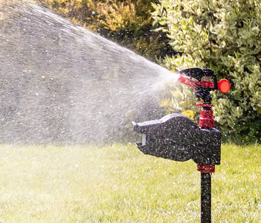 How to stop cats from pooping in your garden UK 2022