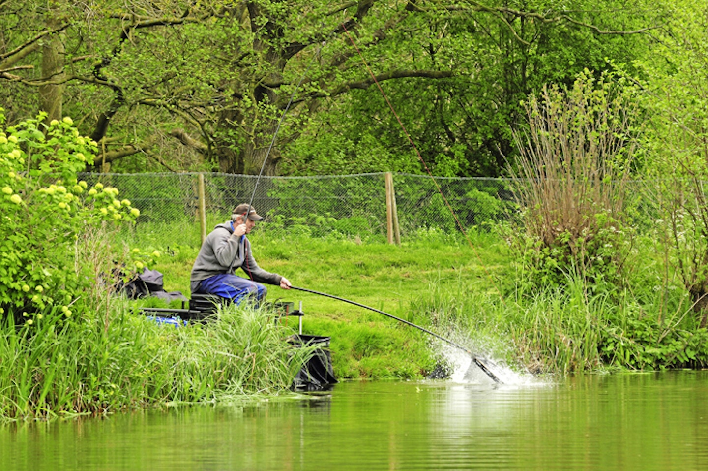 HOW TO CATCH BIG CARP IN THE MARGINS