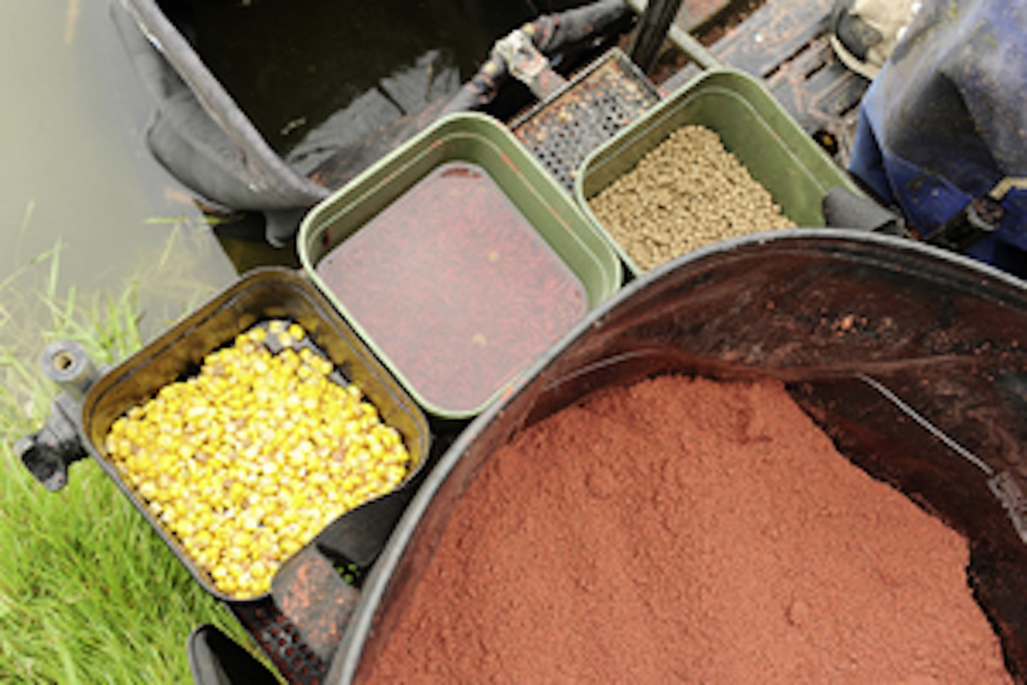No surprises on the bait tray! Sweetcorn, pellets, dead red maggots and groundbait. 