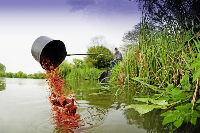 margin fishing for carp on the pole