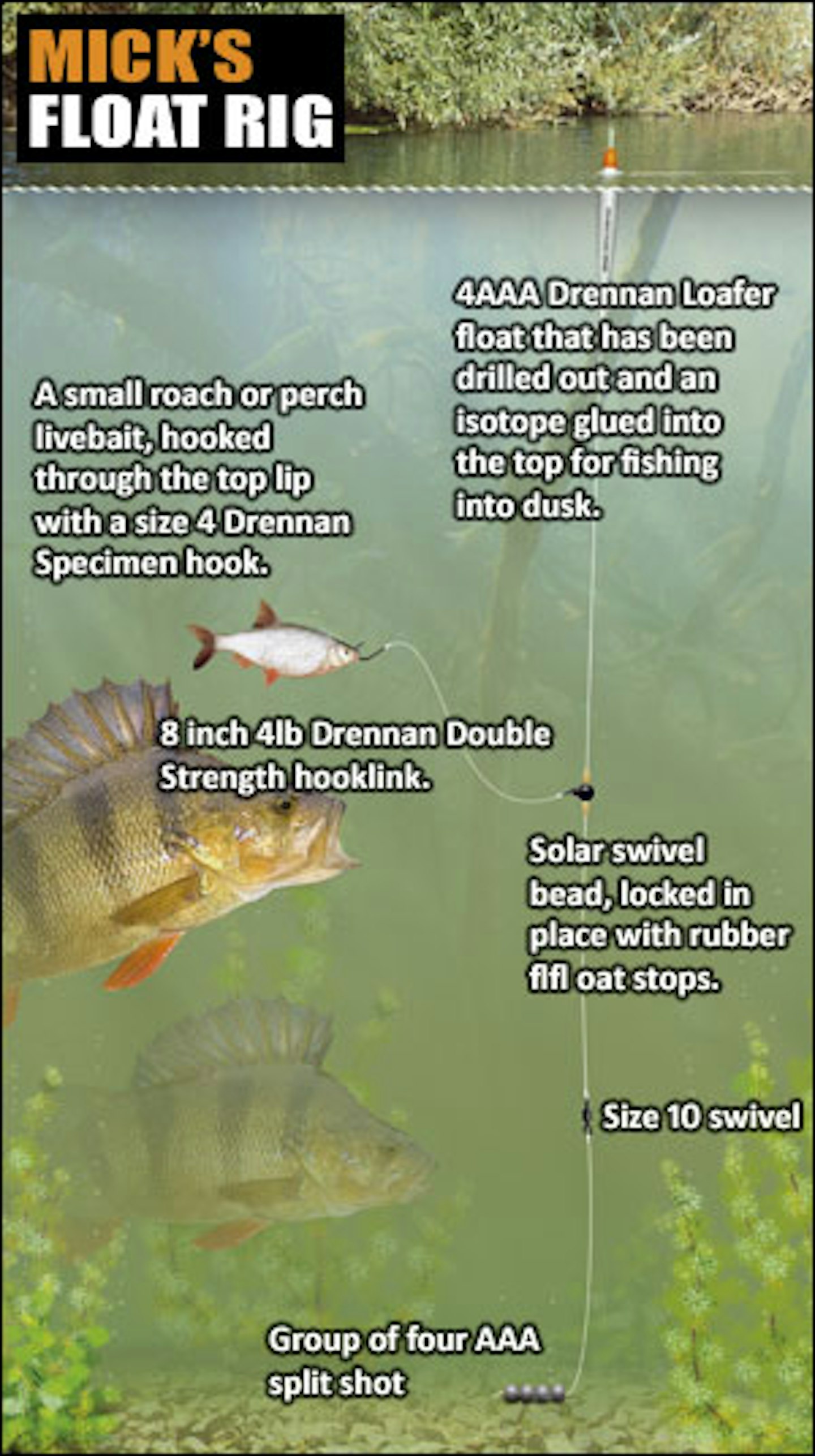 Float fishing for perch by laying on - Amateur Angling