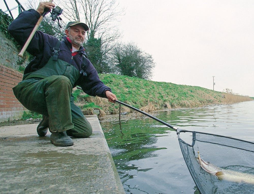 pike dead bait reels