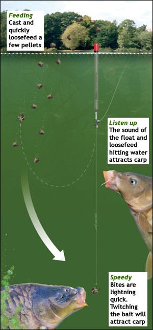 best pellet waggler set up