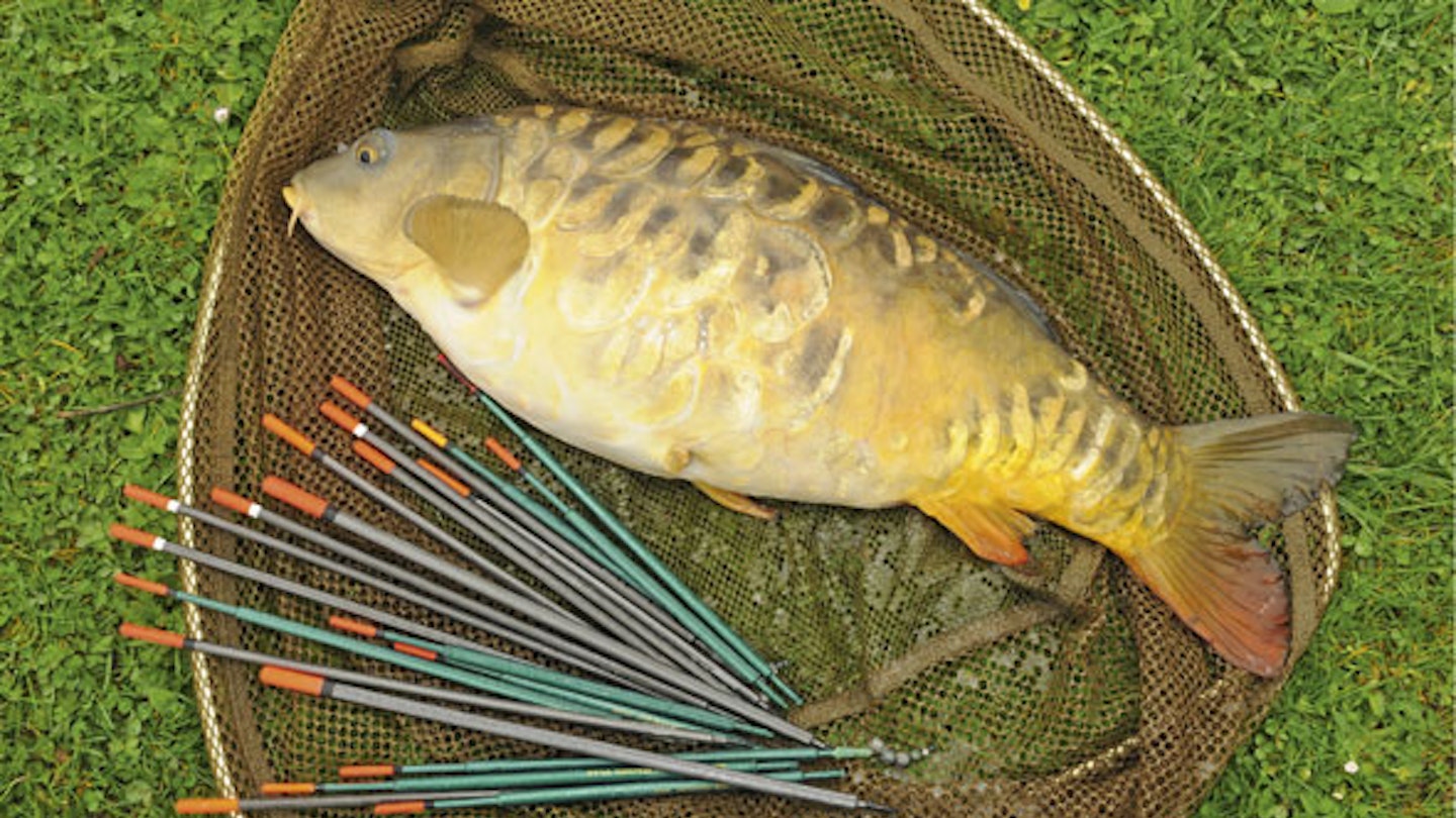 HOW TO FISH THE WAGGLER