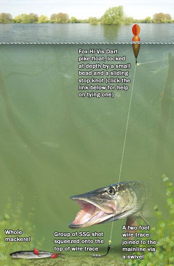 pike spinning setup