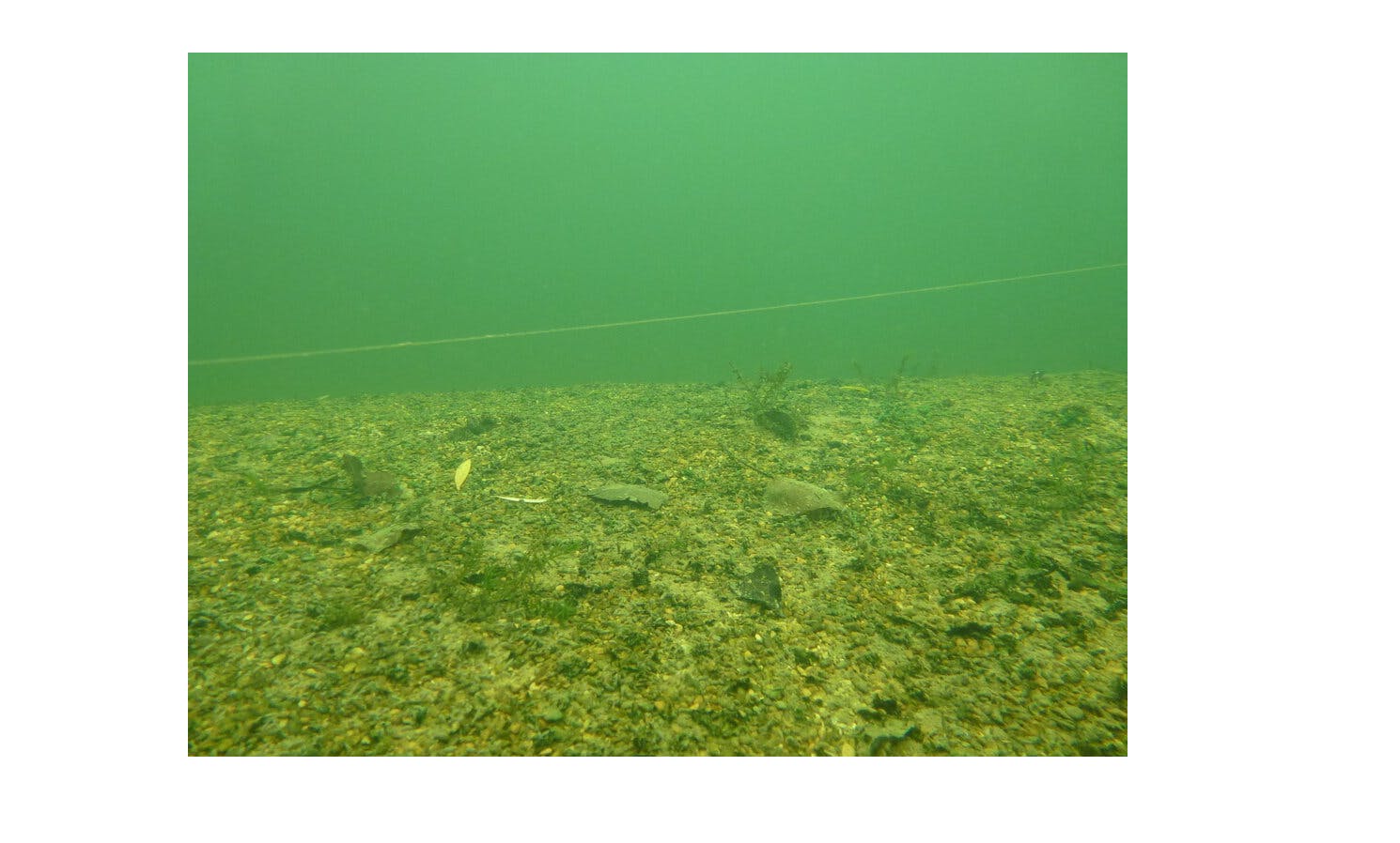 CARP FISHING TIPS SLACK LINE OR BACKLEAD FOR CARP? ROB HUGHES