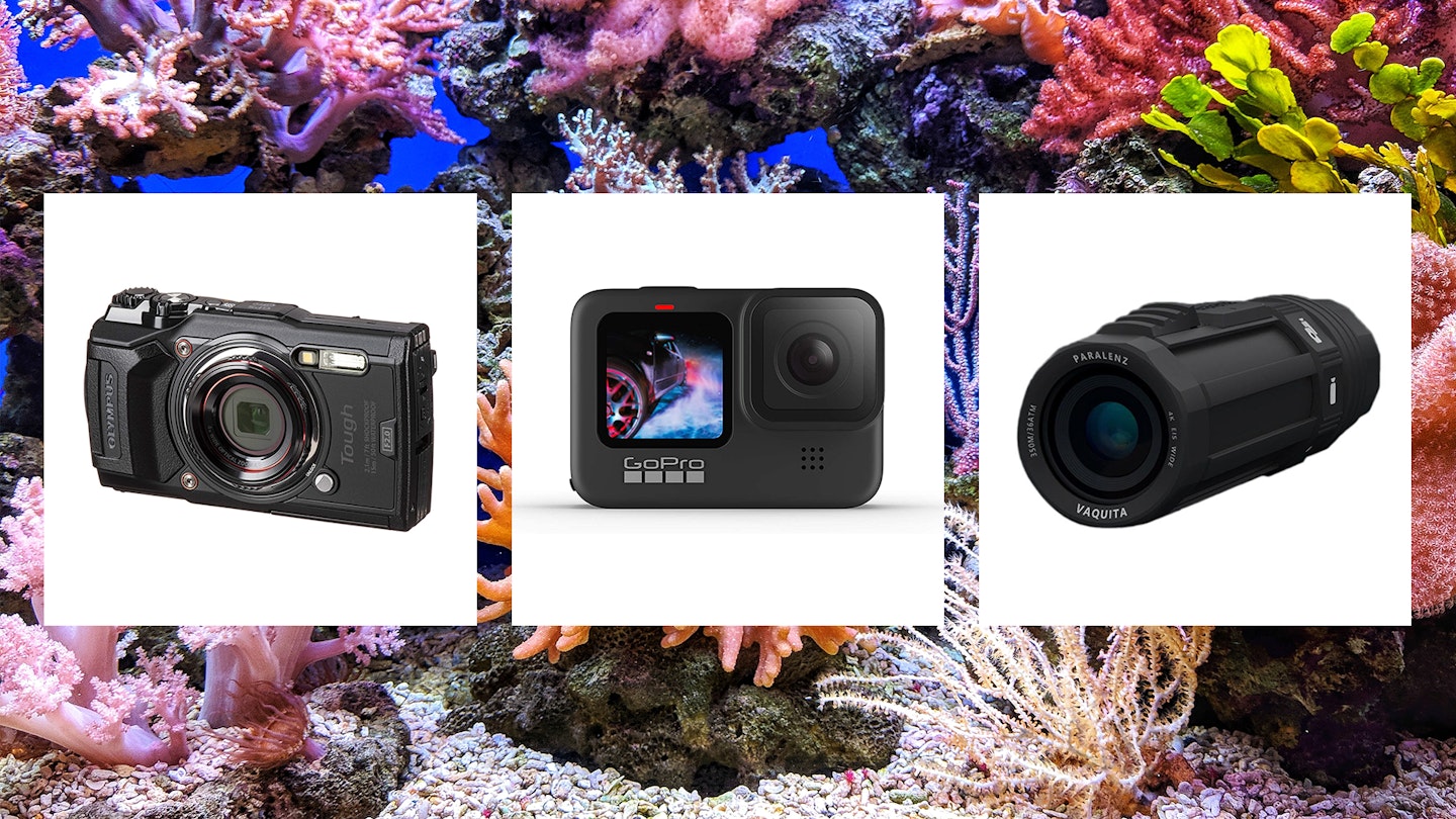 Best underwater cameras placed on top of coral
