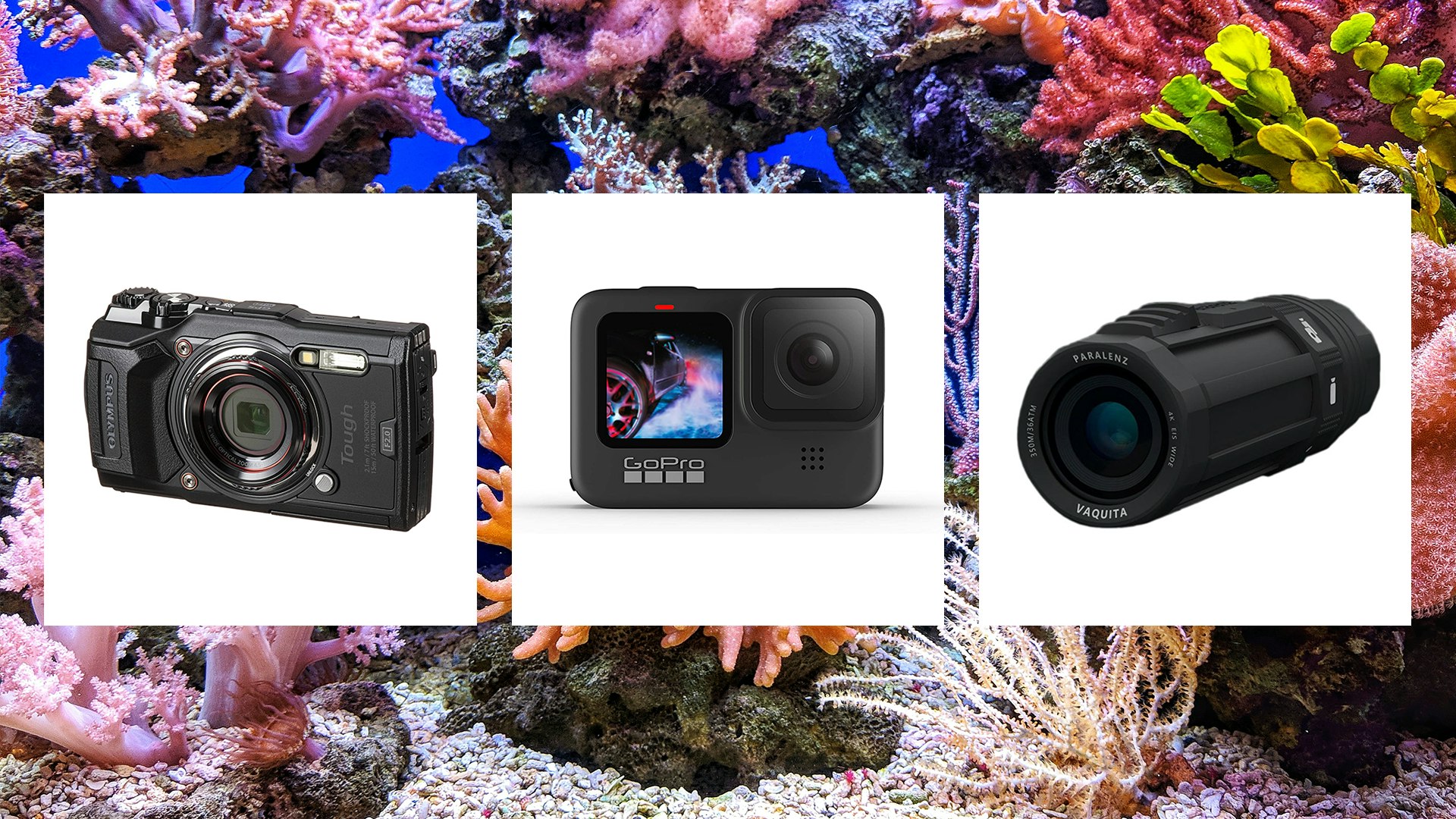 Underwater Cameras The Best Action, Compact and Film