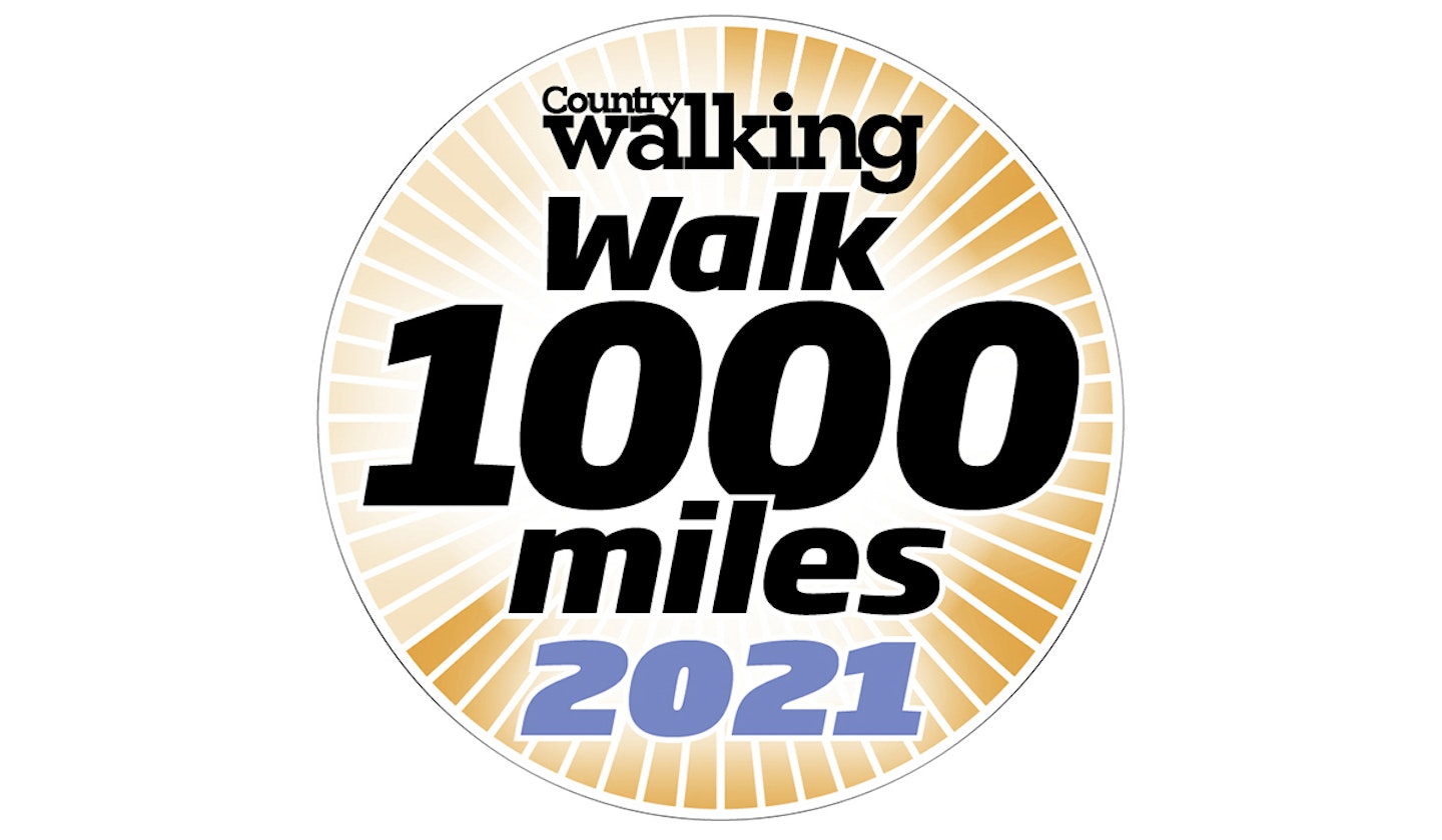 walk 1000 miles