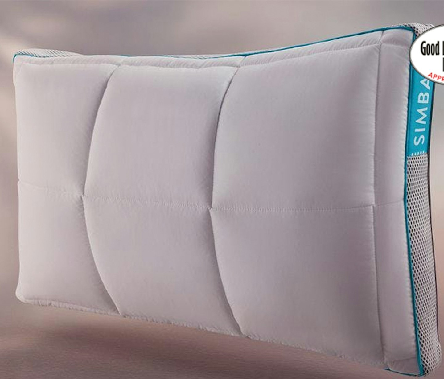 The Simba Hybridu00ae Pillow