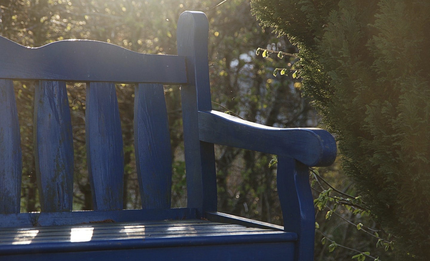 Garden bench