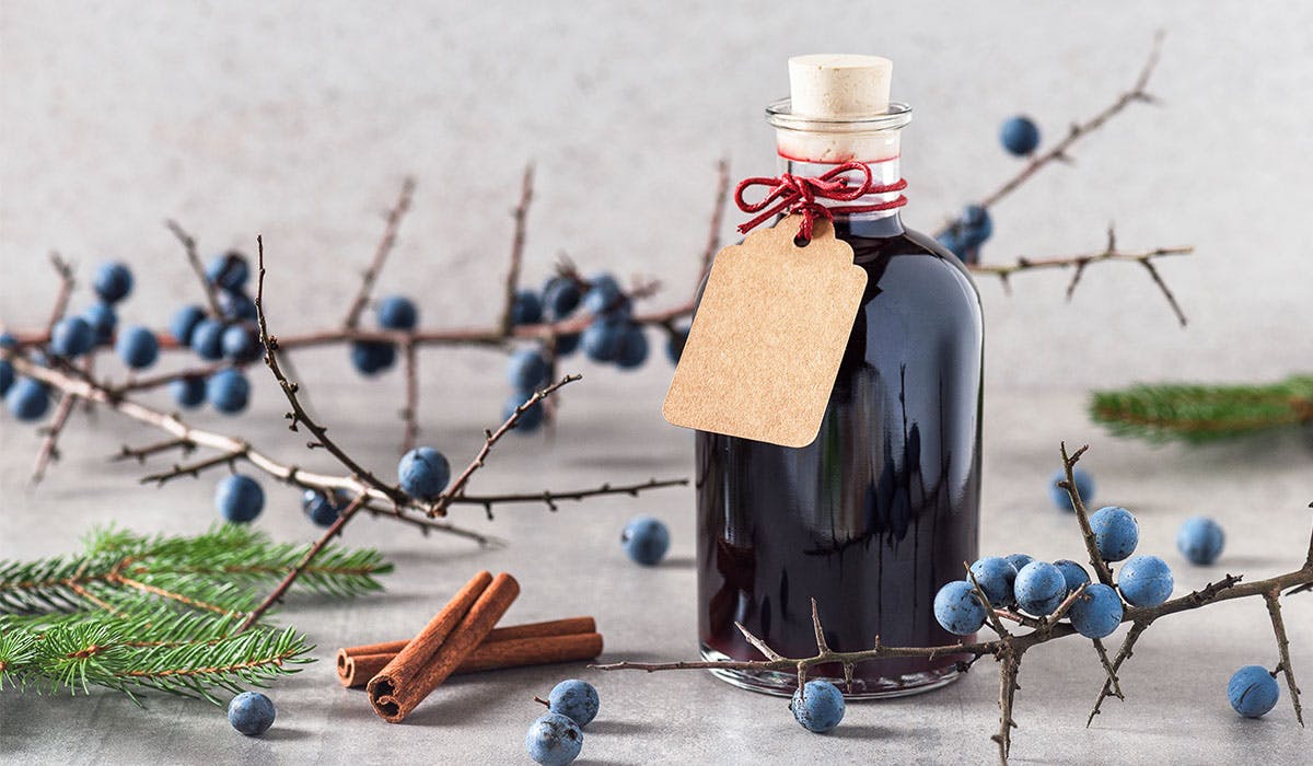 How to make sloe gin Wellbeing Yours