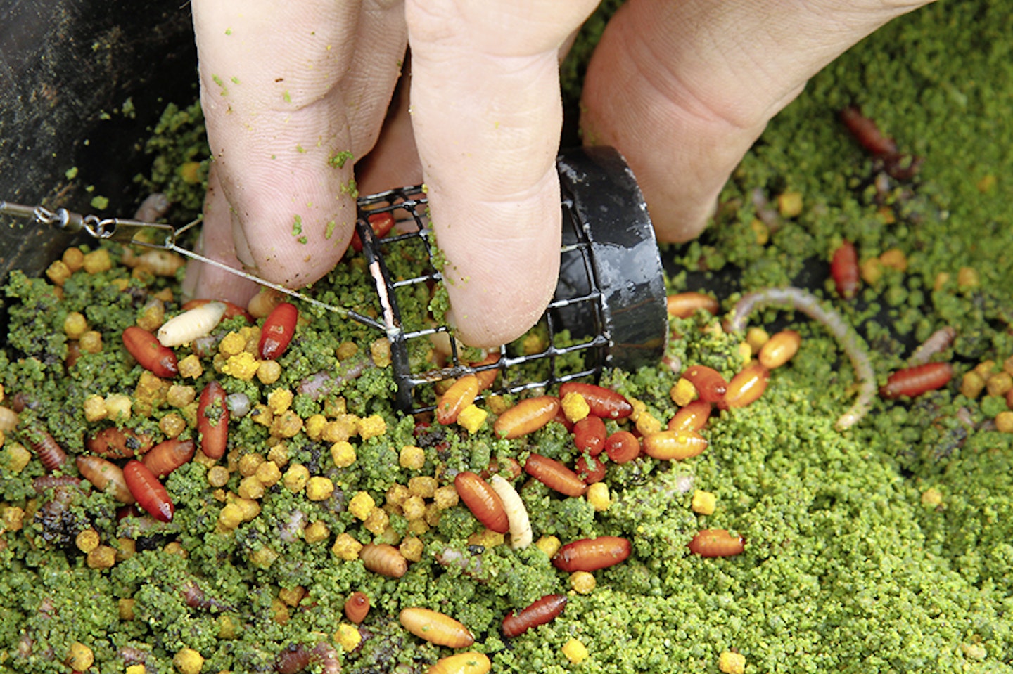 STEVE RINGER'S TOP 10 BAITS TO USE WHEN FISHING COMMERCIALS.
