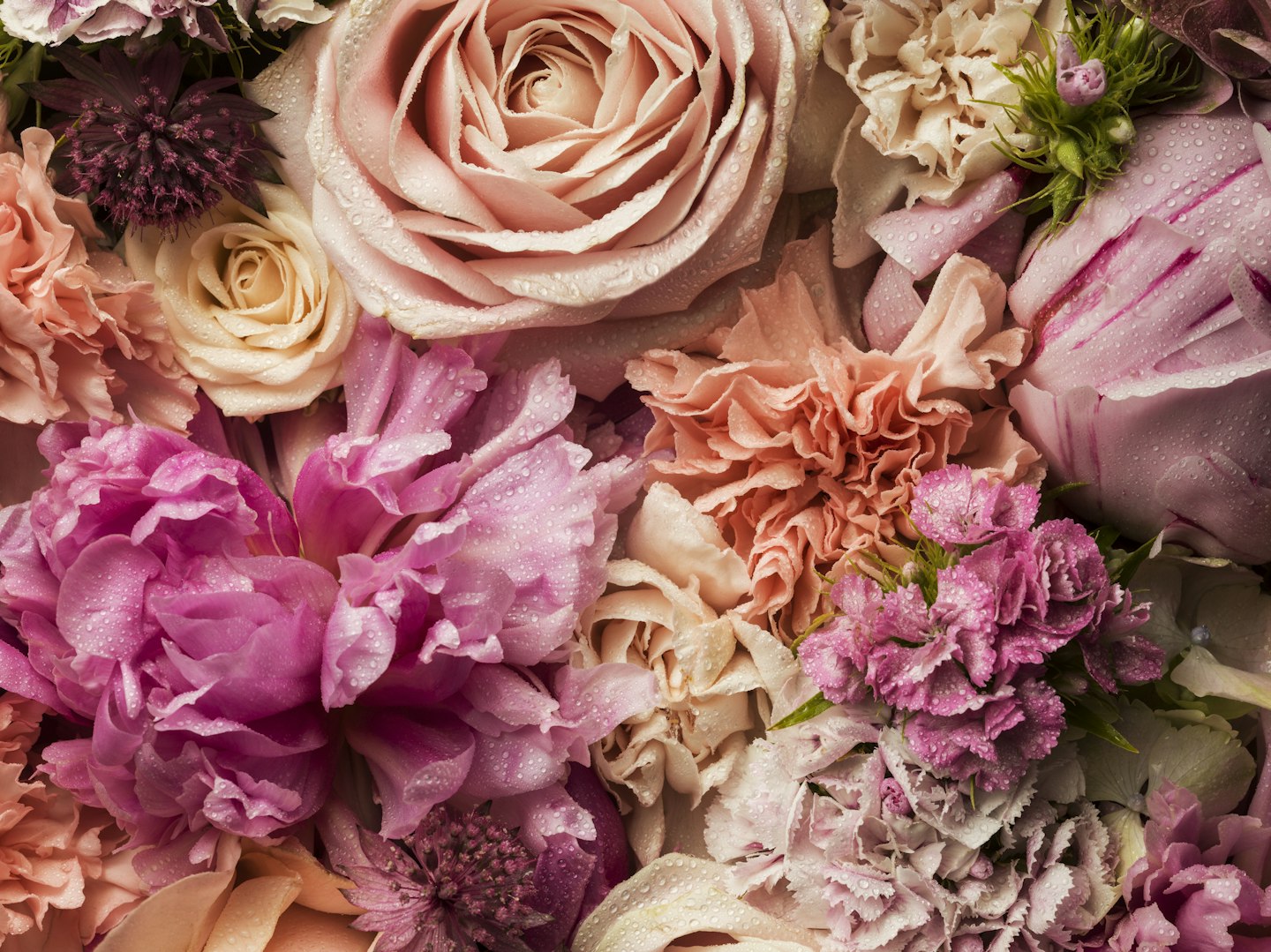 peony