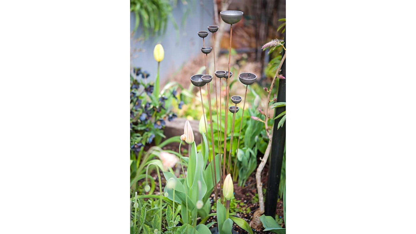 rain cups in leafy garden