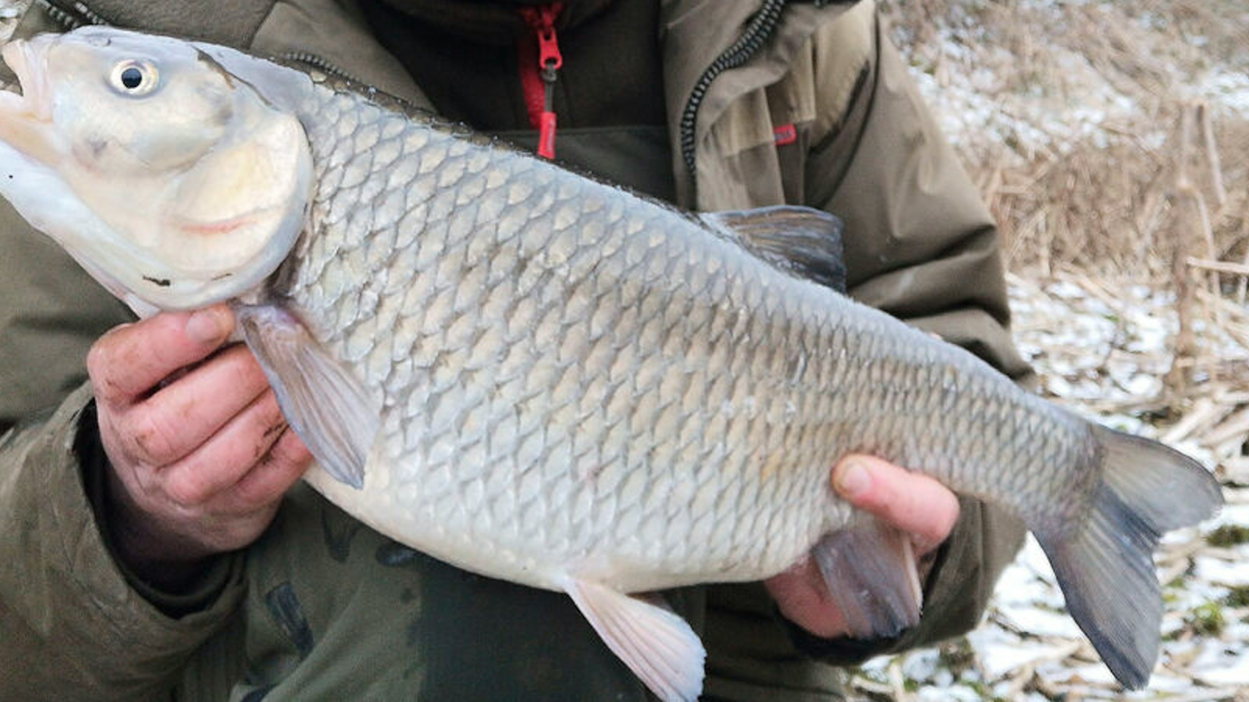 John Clark – 7lb 1oz chub