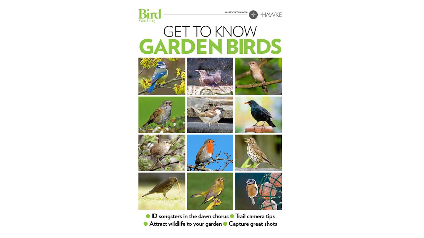 Get To Know Garden Birds