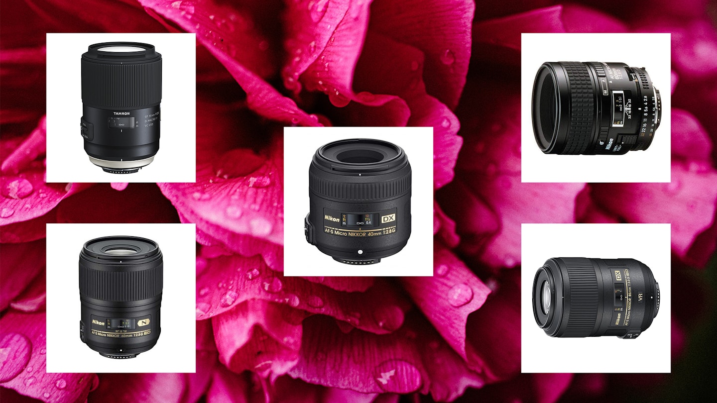 Best Nikon lenses against a rose macro photograph