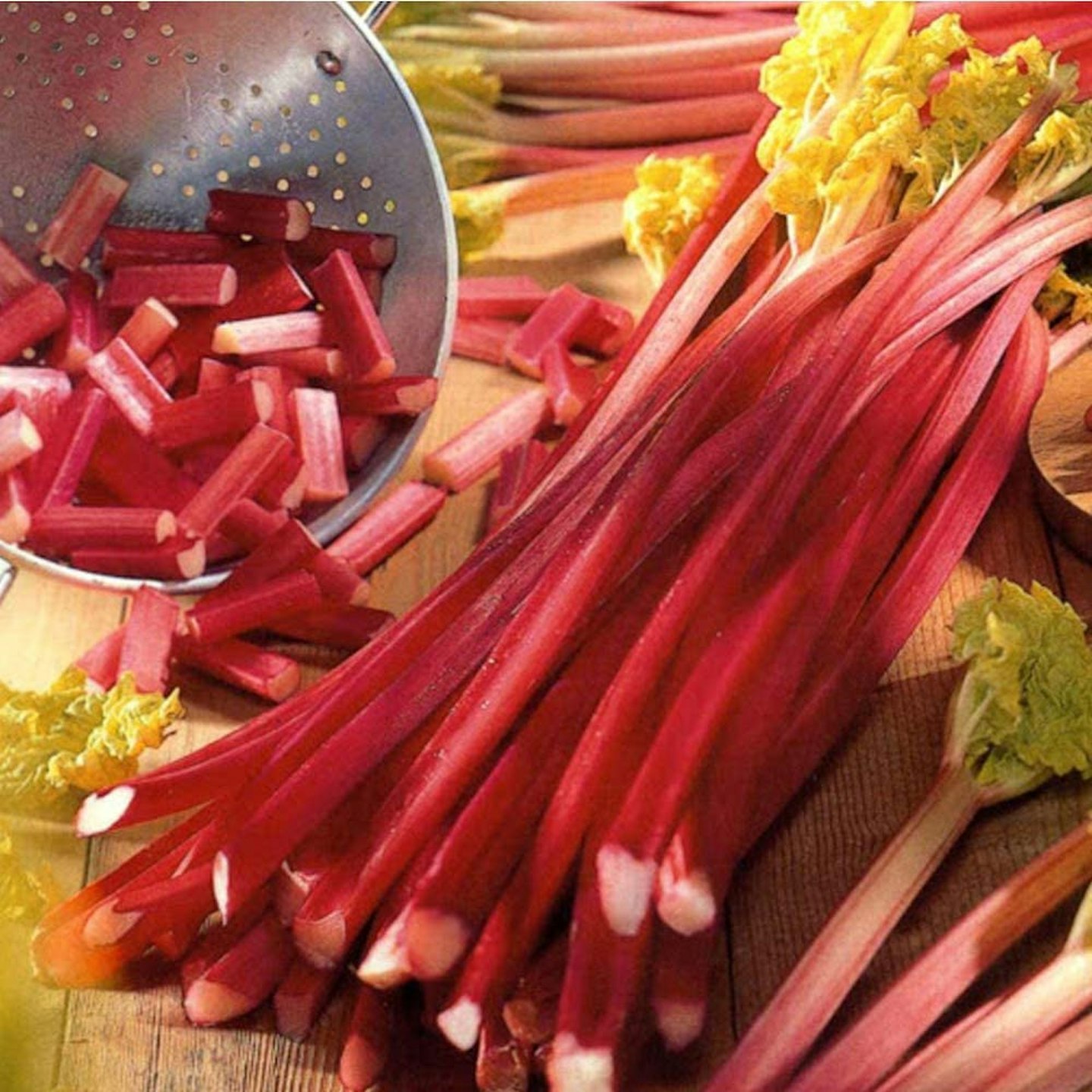 1 Pc Rhubarb Red Champagne