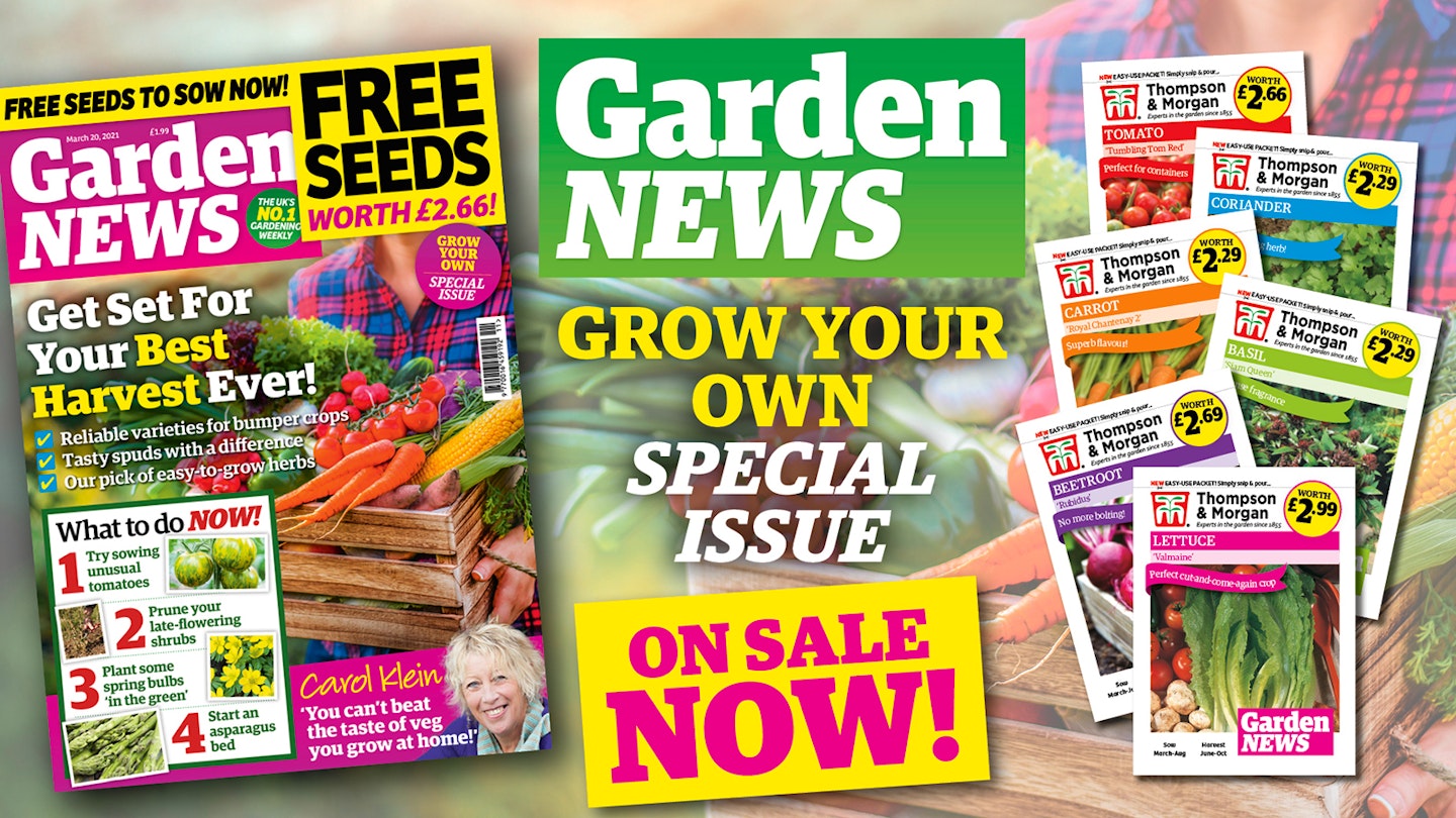 Garden News GROW YOUR OWN SPECIAL