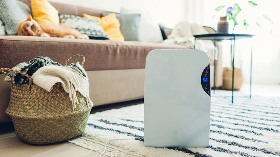 The best humidifiers for well-balanced humidity at home UK | Life | Yours
