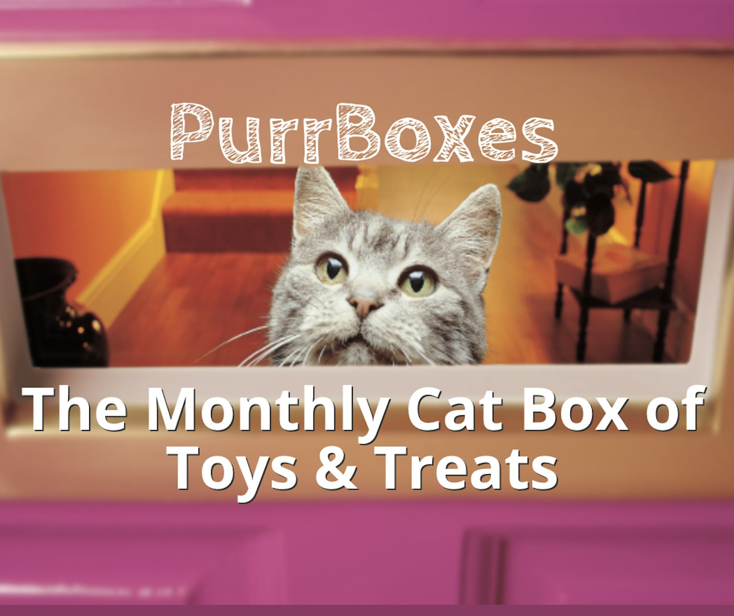 Purrboxes