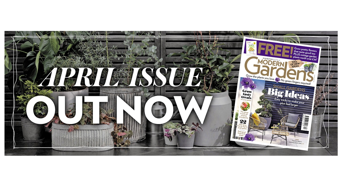 April issue out now!