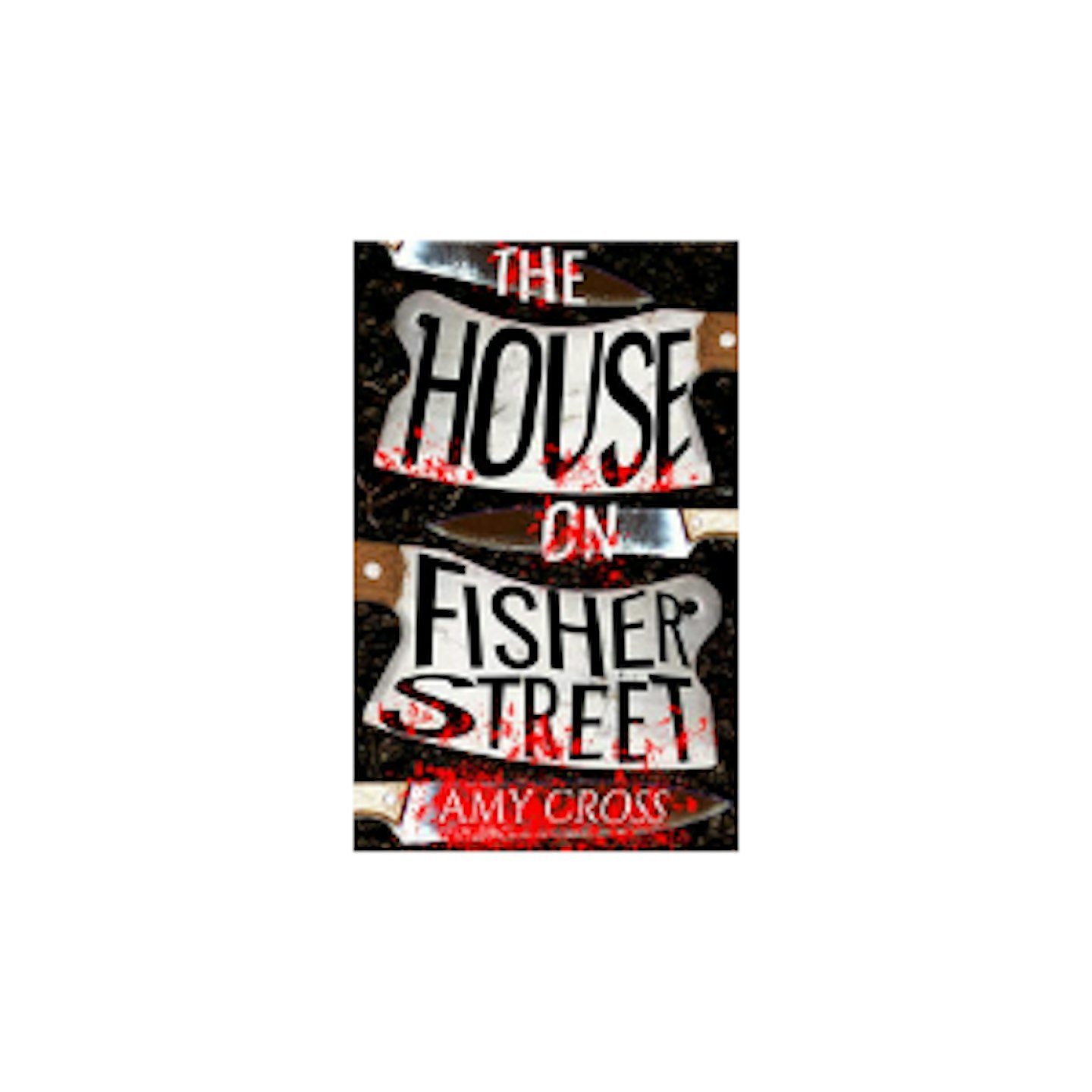 The House on Fisher Street Kindle Edition