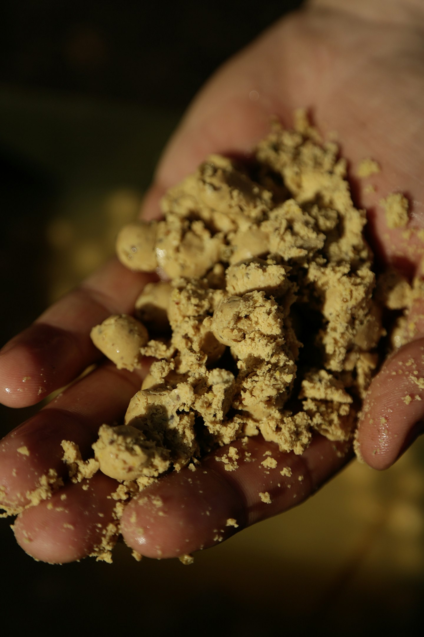 If there aren't too many nuisance fish, crumble your baits up to make them last.