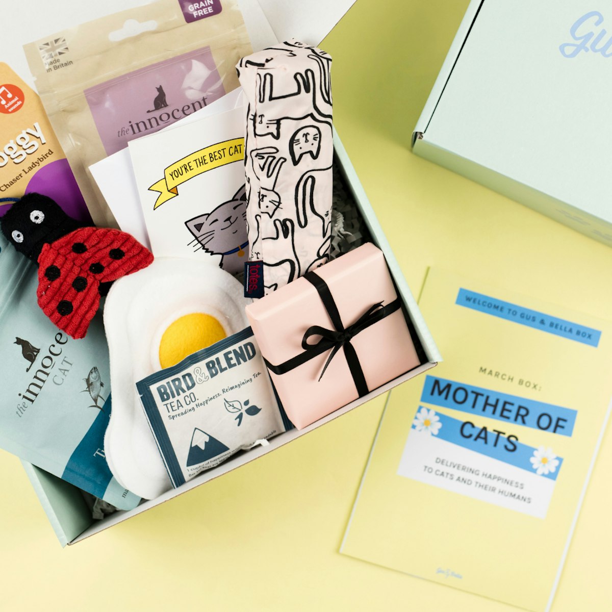 The Best Cat Subscription Boxes UK