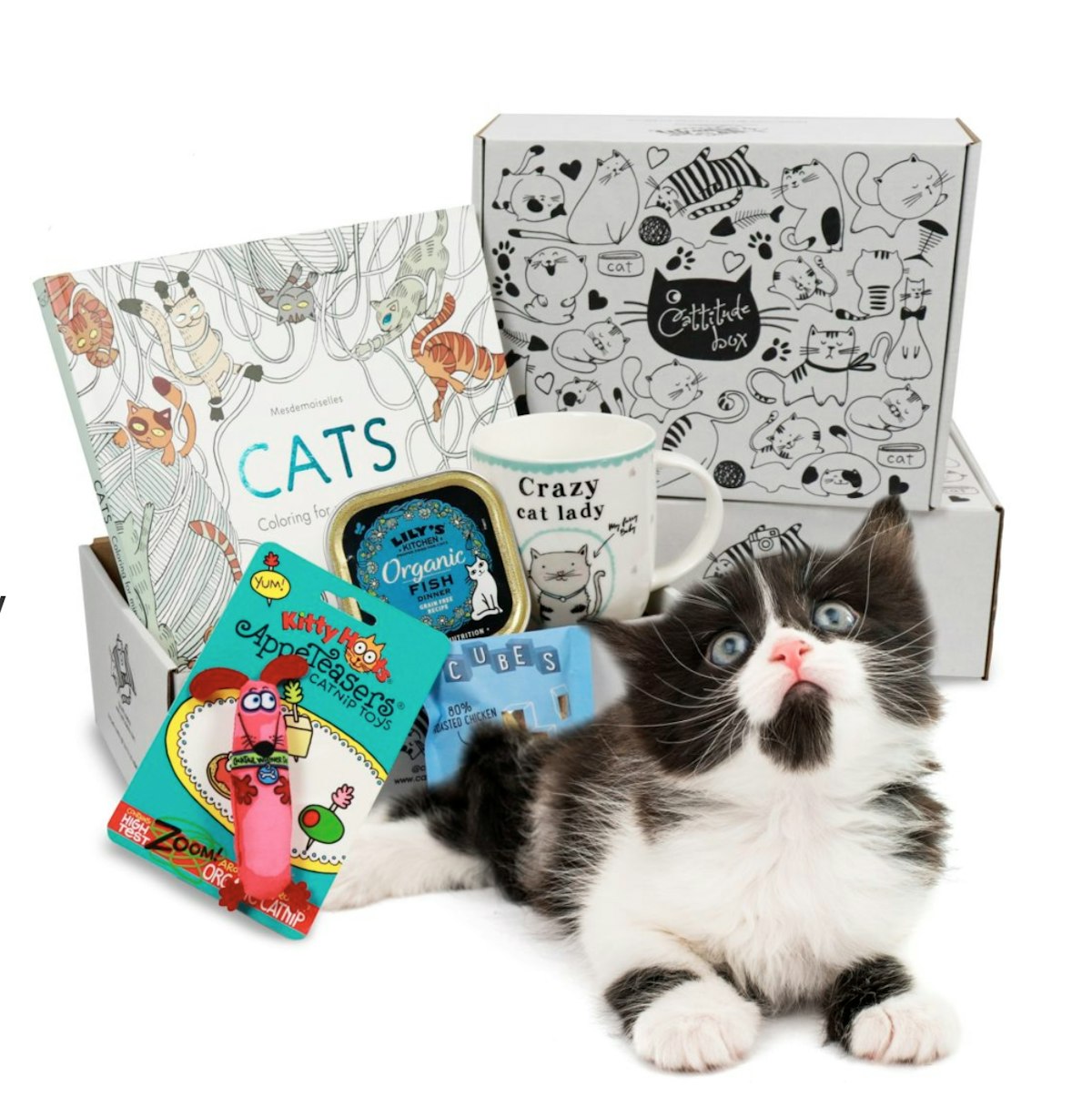 The Best Cat Subscription Boxes UK