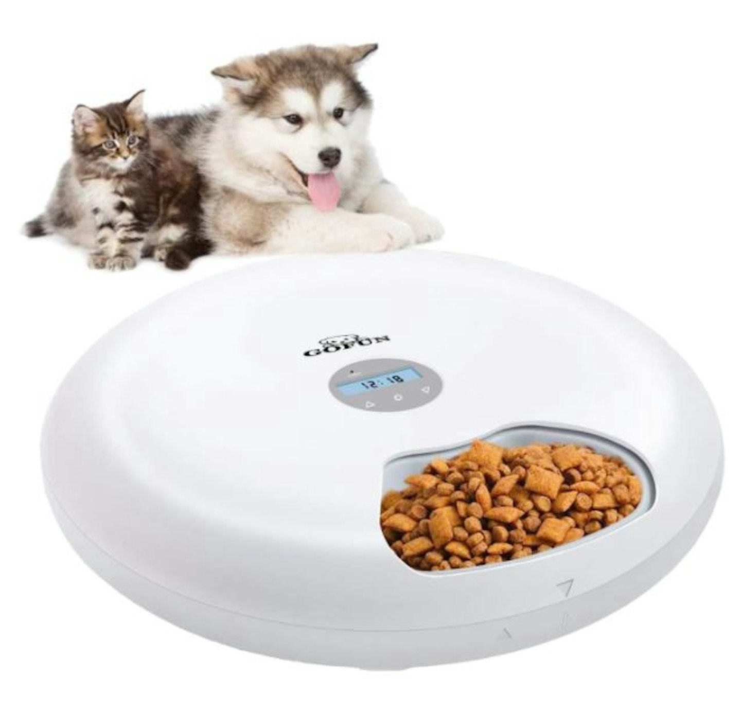 Automatic pet feeder top argos