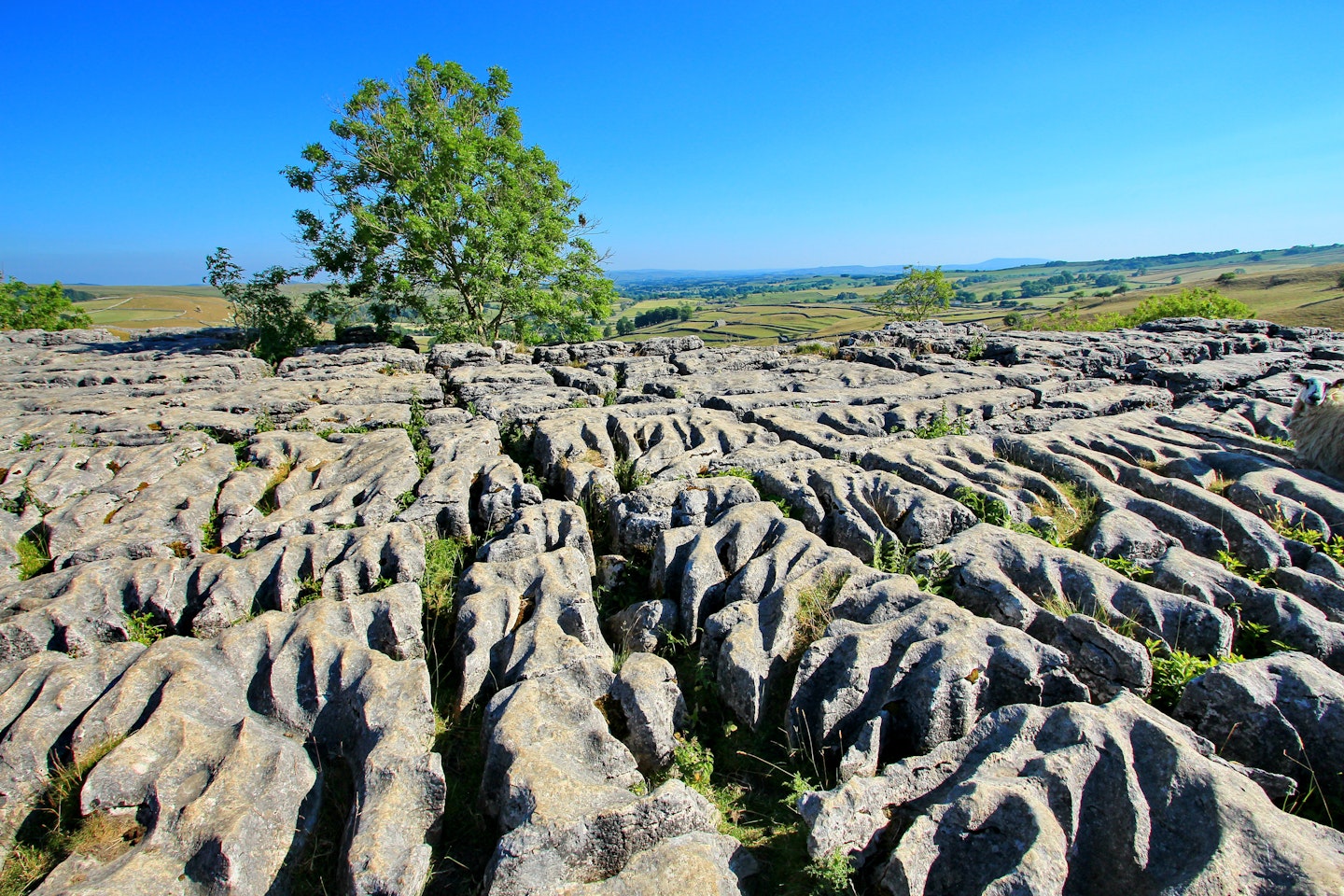 Malham Cove and Gordale Scar Walk, Yorkshire Dales