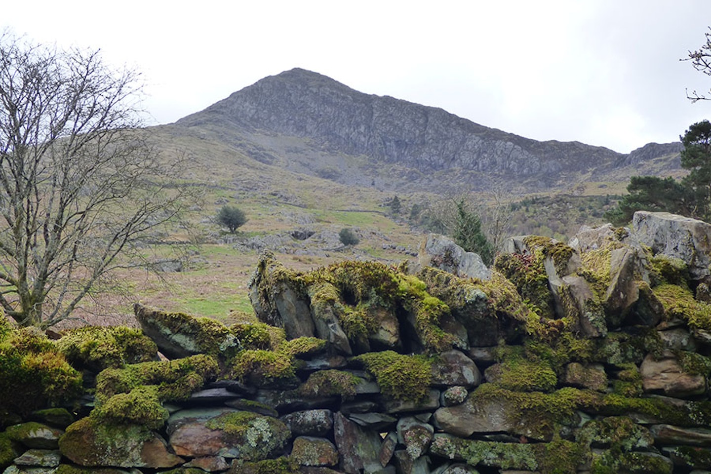 Moel Hebog