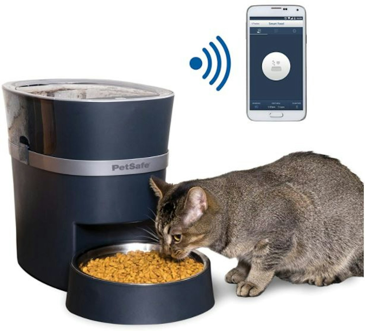 Automatic guinea pig feeder top