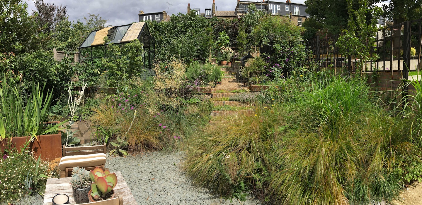 Anemanthele grasses give a wild feel