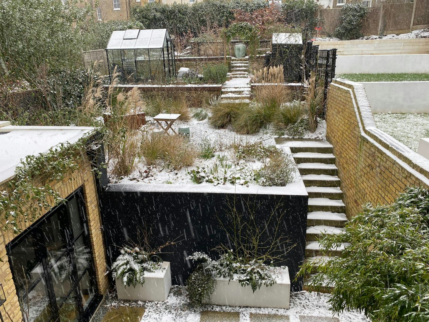 The garden in winter