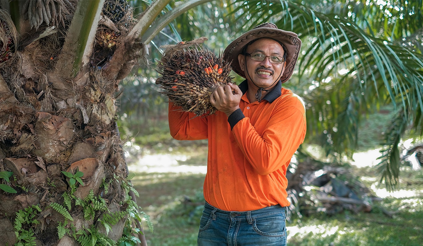 palm-oil 