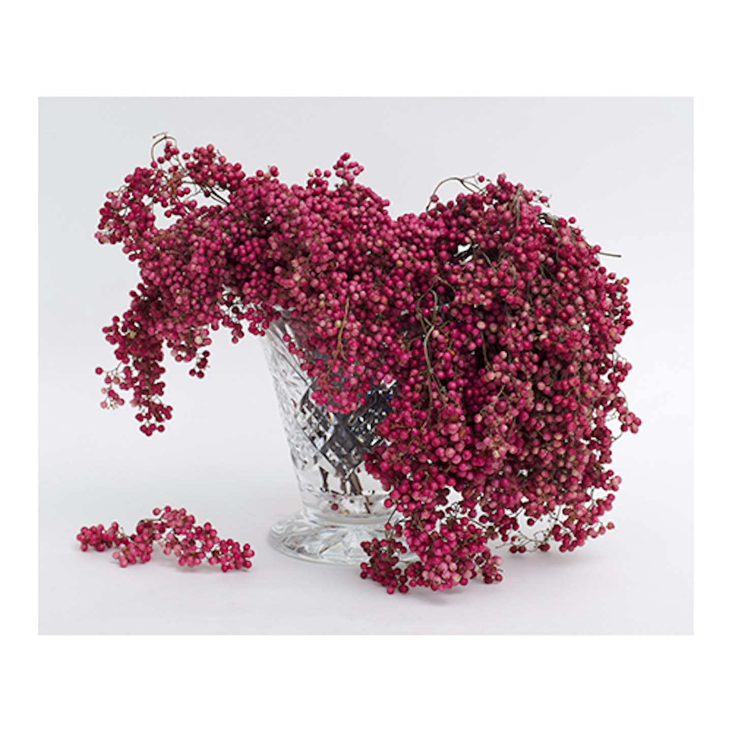 Article Somerset - Pink Peppercorns