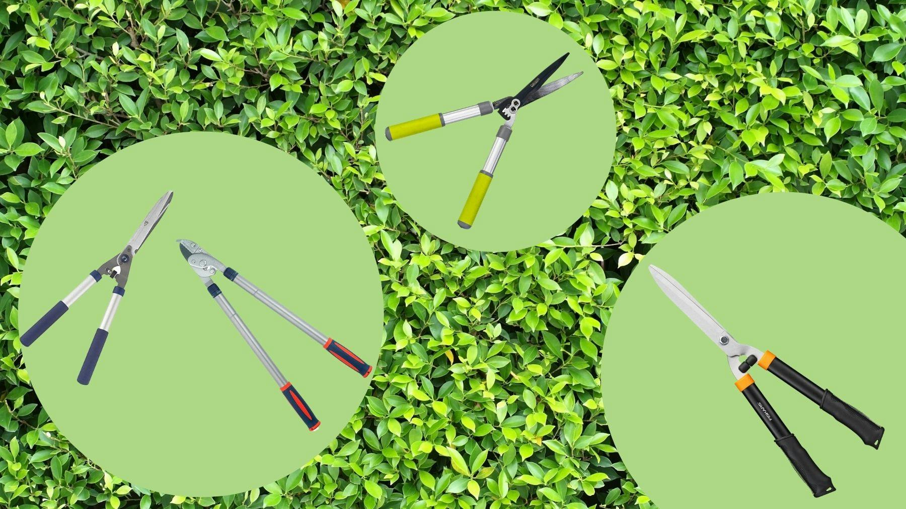 The best garden shears for precise trimming Life Yours