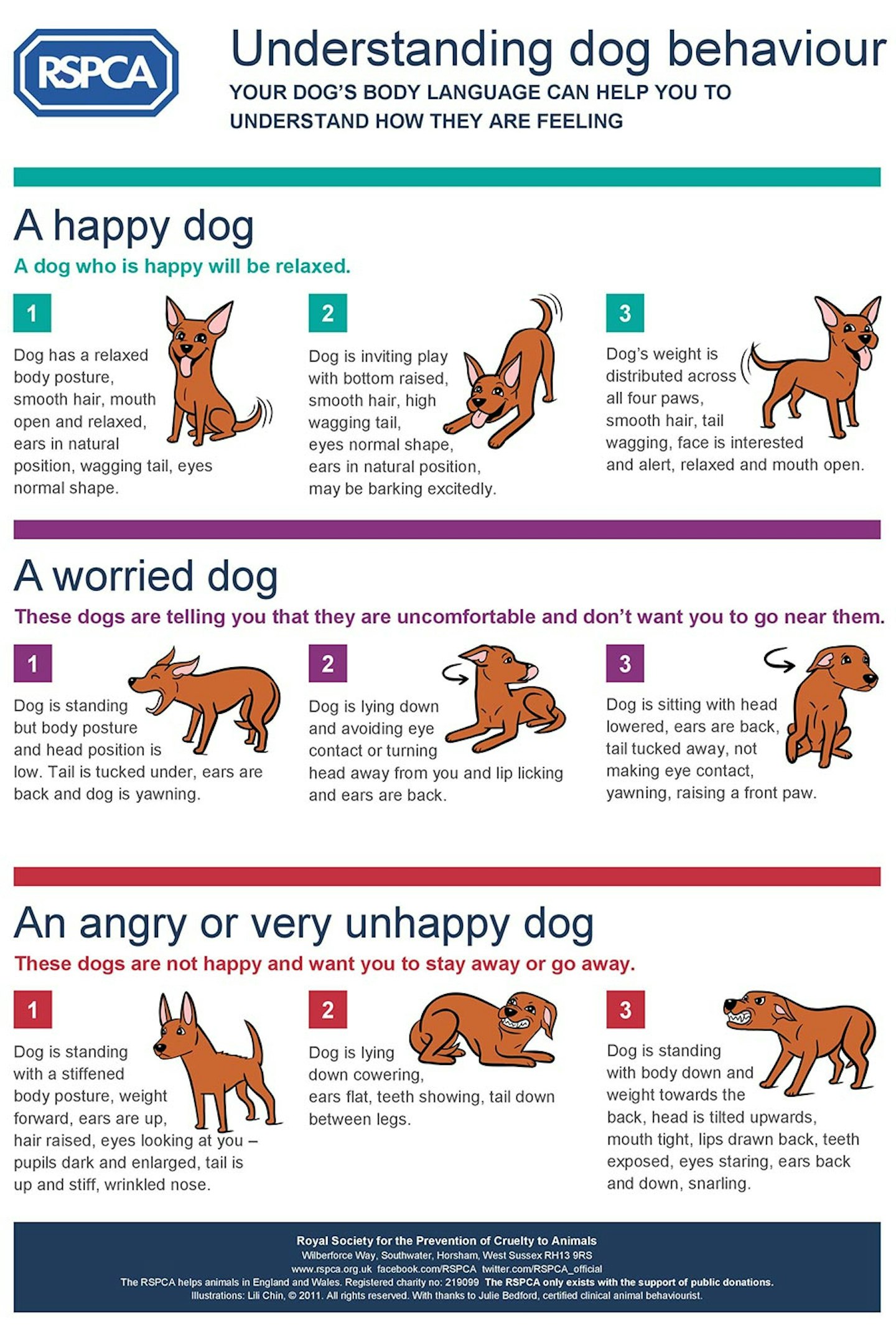 RSPCA dog behaviours 