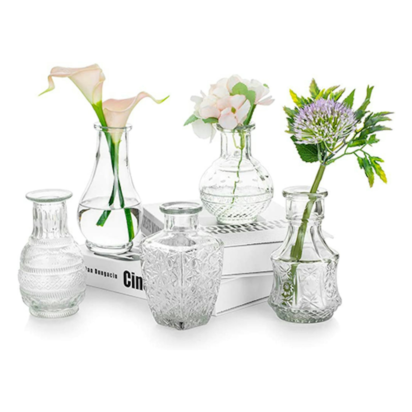 Glass Vase for Flowers Set of 5 Clear Vintage Bud Vase Sweet Mini Pea Vase for Table Centrepiece Indoor Decor Wedding