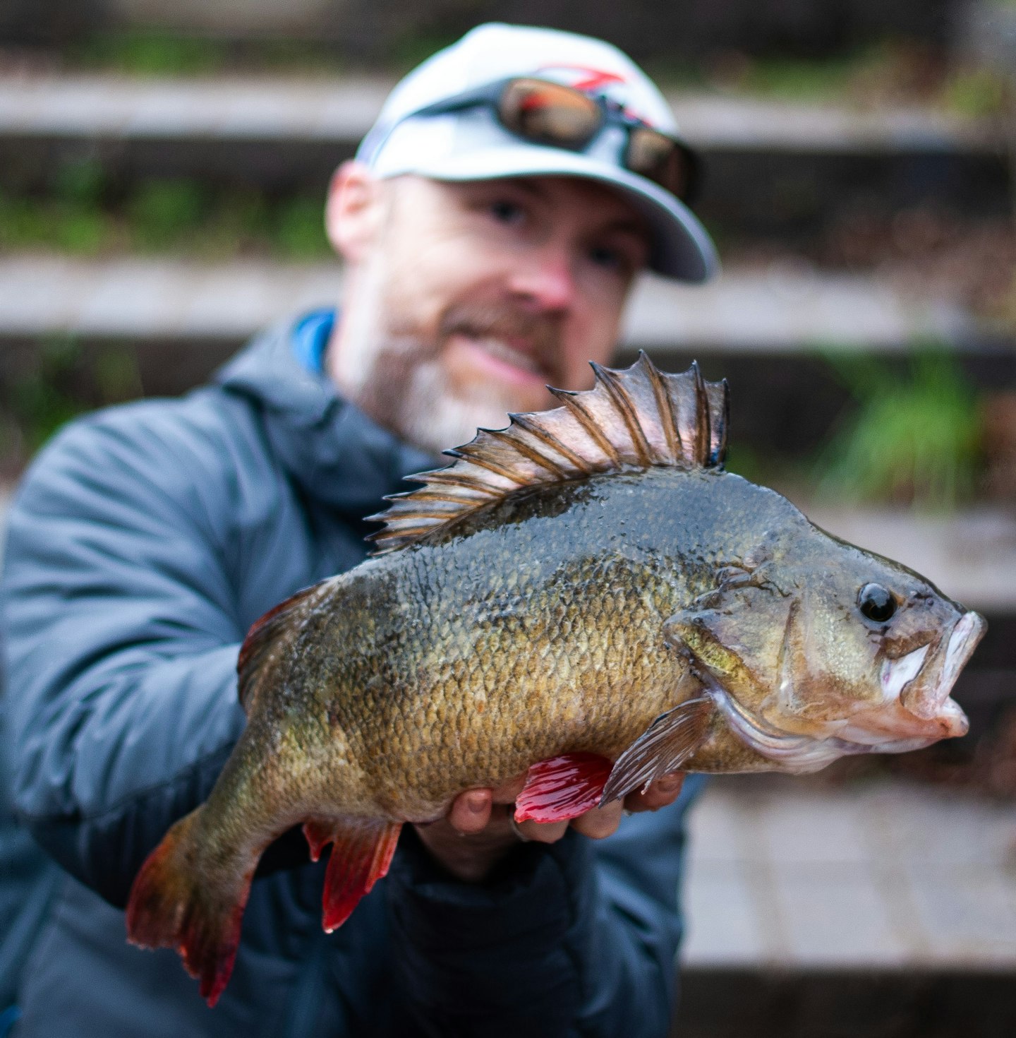Darrell Carter 4lb 10oz Lea perch