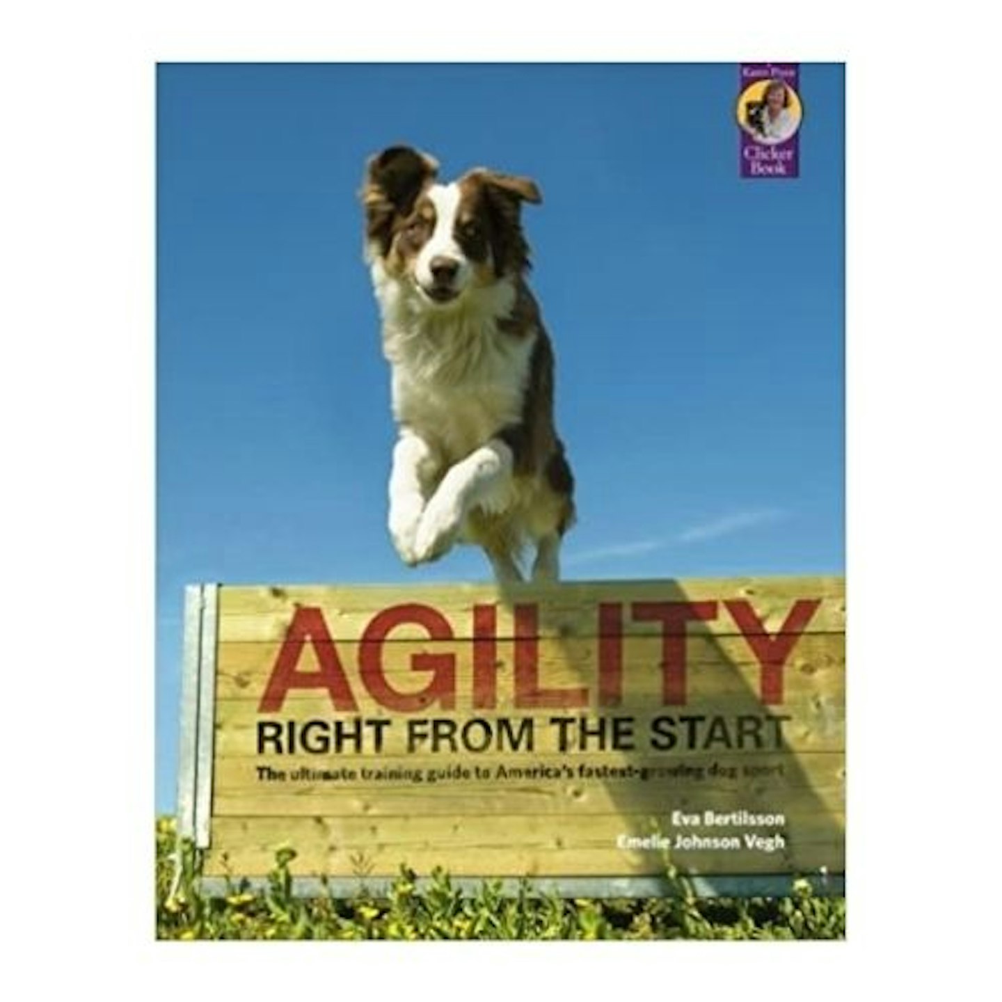 Agility Right from the Start by Eva Bertilsson