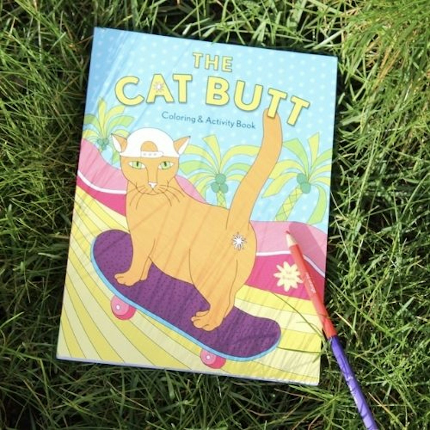 The cat butt colouring and activity book